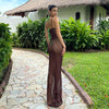 Badu Mesh Dress